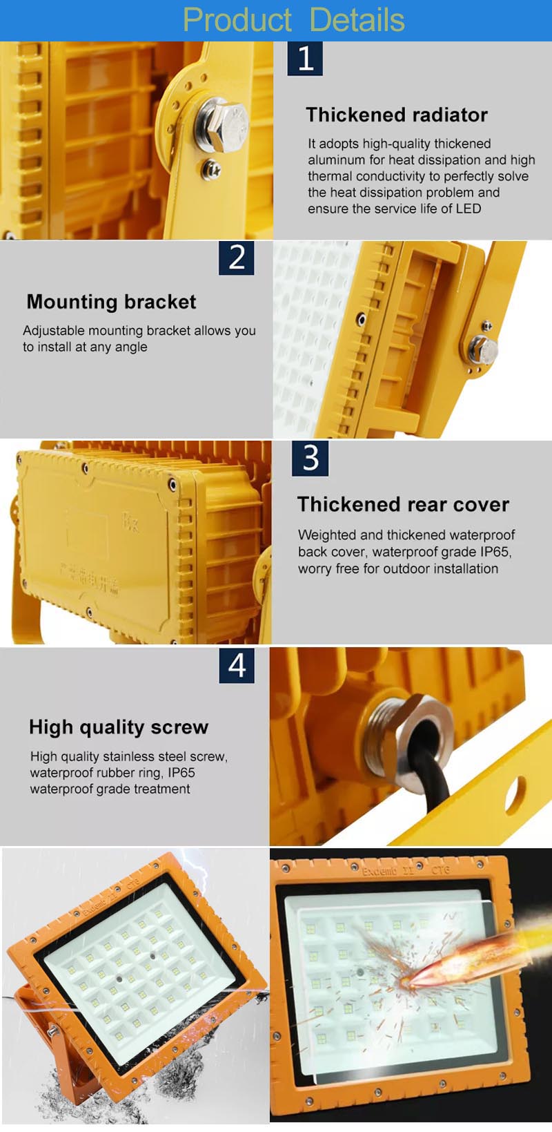 Dettagli del prodotto 正确的