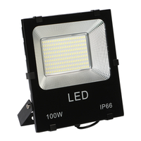 Proiettore impermeabile Super Bright Outdoor Ip65 SMD Led Flood Light 
