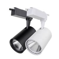 Luce della pista a LED