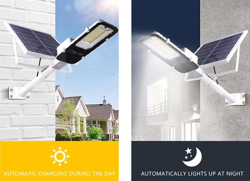 Dettagli prodotto-1-1-1