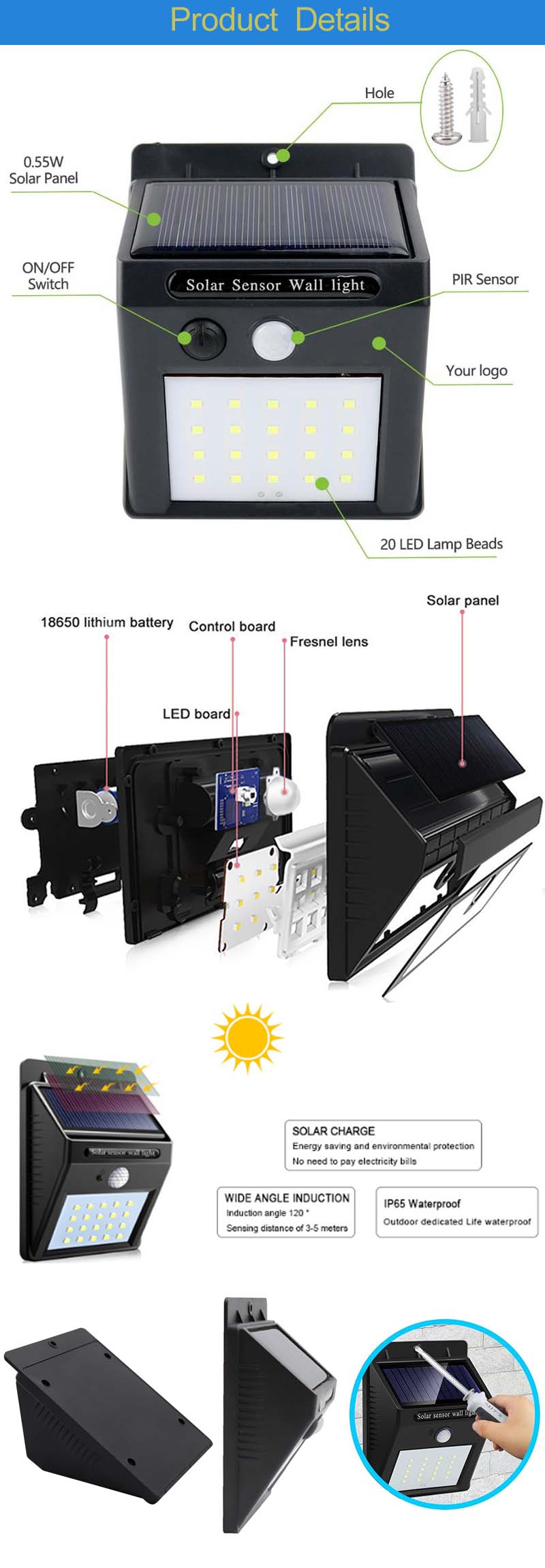 Dettagli del prodotto-1