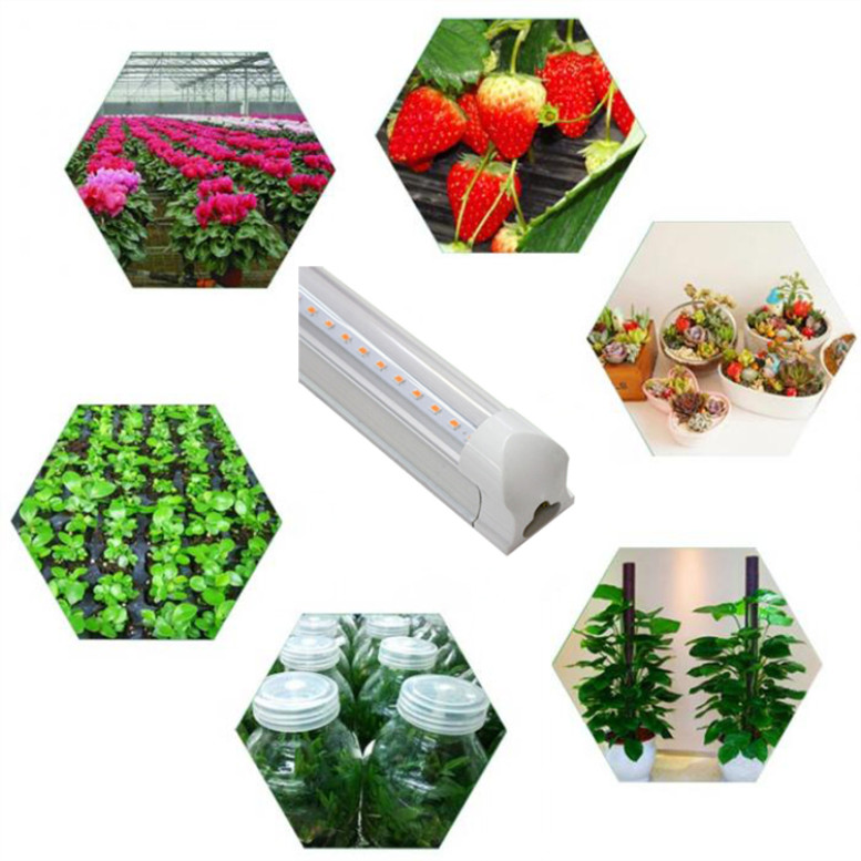 Lampada da coltivazione a LED a spettro completo con tubo in alluminio per piante idroponica quantistica da interno