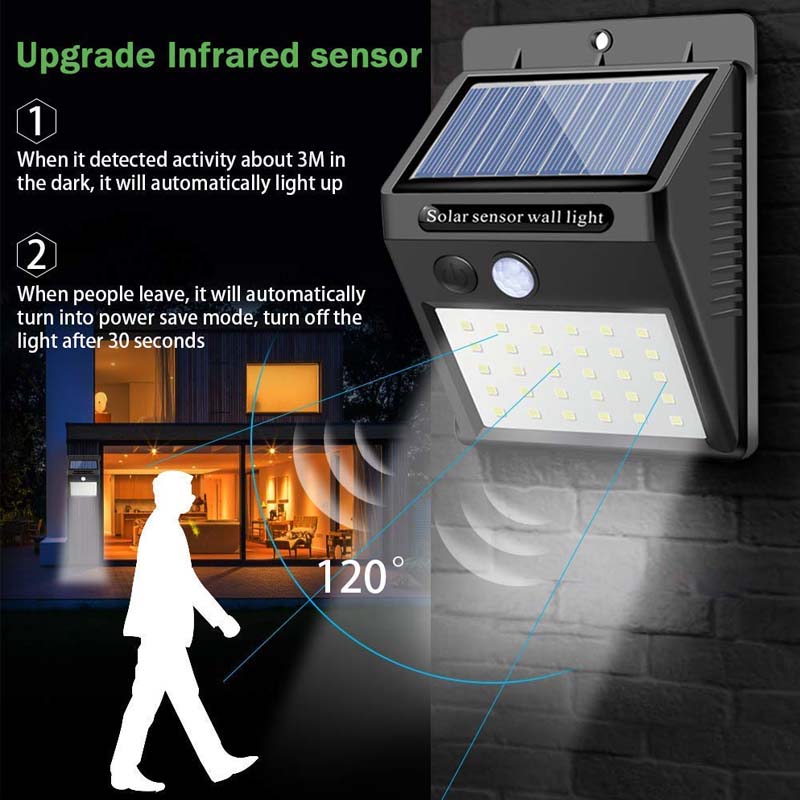 Dettagli del prodotto-1-1